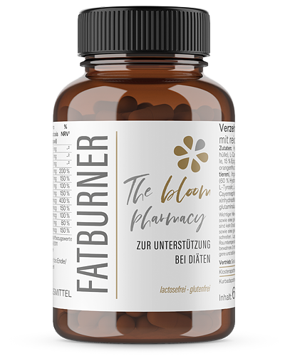 Fatburner für die Figur, Fettverbrennung, Nahrungsergänzungsmittel