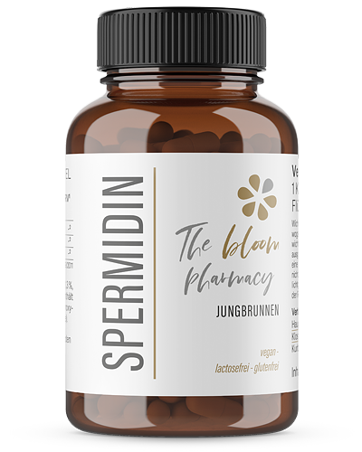 SPERMIDIN Nahrungsergänzungsmittel